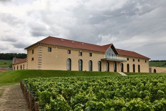 CHAMPAGNE BARONS DE ROTHSCHILD Rare Collection Blanc de Blancs 2013 plus Experience, Champagne 2013 Methuselah